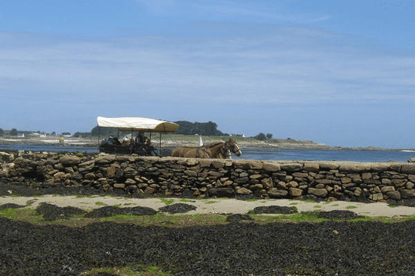 Une promenade en calèche aux anciennes cales d'embarquement pour l'île de Batz.