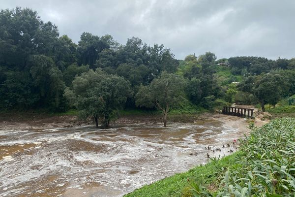 Le bassin de la Theouliere à Mandelieu qui retient 15 000 m³ d’eau a fait son travail et a évité une grande inondation avenue de Cannes ce 16 octobre.