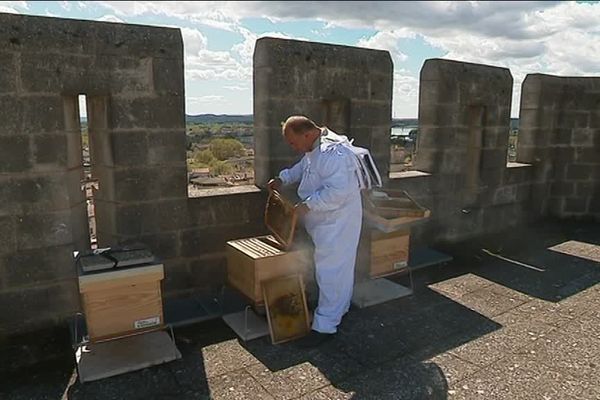 Six ruches ont été installées sur le toit du Palais des Papes d'Avignon.