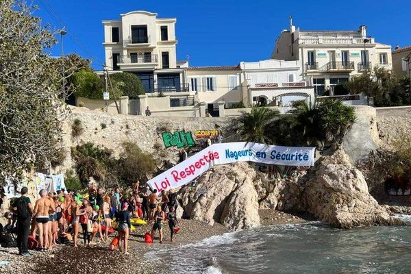 Ils nagent ensemble pour être plus visibles