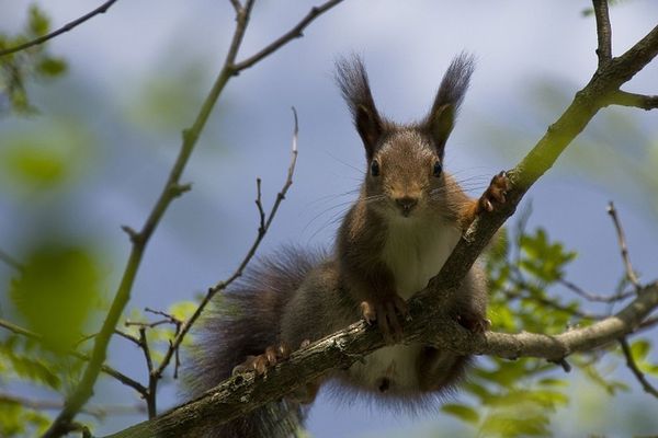 Quel temps fera-t-il dans les prochains jours ? 