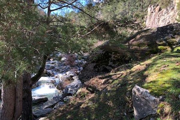 La très populaire vallée de la Restonica, dont l'accès, durant l'été, est payant.