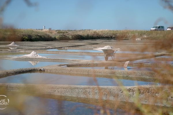 Les salines de Guérande