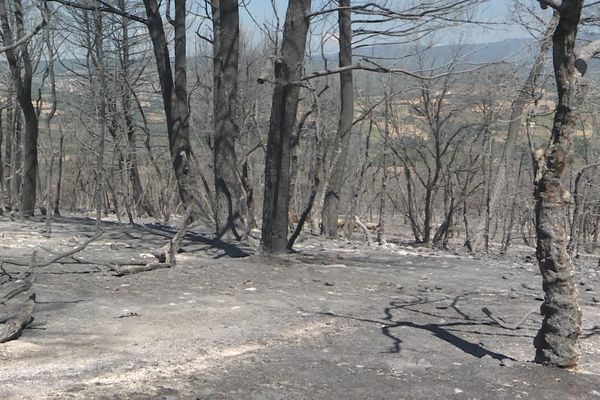 Incendies à Niozelles le 3 août.