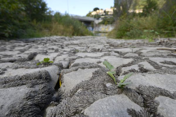 Le préfet des Bouches-du-Rhône a pris ce jeudi 9 février un arrêté de passage au stade de vigilance sécheresse sur le département, à l’exception des secteurs de l’Huveaune amont et aval qui passent dès à présent au stade d’alerte.