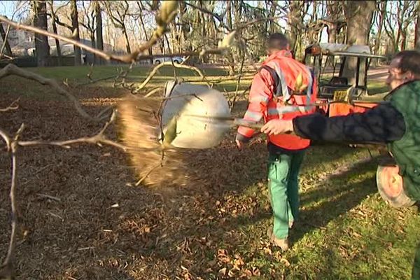 Les jardiniers des Parcs et Jardins de Nancy s'affichent à des taches que la saison requière.