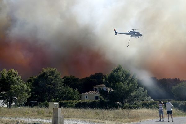 Le feu a ravagé plusieurs centaines d'hectares à Saint-Cannat le week-end du 14 juillet. Plus de 700 pompiers ont été mobilisés. 