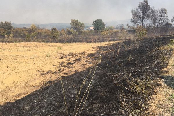 Gard - Le feu, parti de la forêt derrière Générac, est fixé depuis quelques heures - 30 juillet 2019.