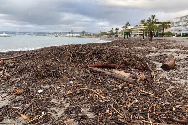 Des amas de bois provenant du fleuve Var échoués sur les plages de Saint-Laurent-du-Var, le 3 janvier 2020