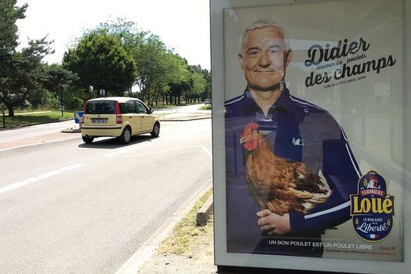 Didier des Champs, nouvel ambassadeur des Fermiers de Loué