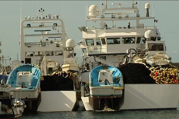 Les thoniers senneurs dans le port de Sète