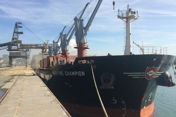 Sur les quais du port de la Pallice, à La Rochelle, les bateaux ne se bousculent pas ces jours-ci. 