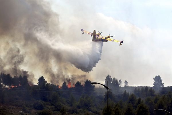 Dans l'Aude, un feu de pinède et de garrigue a parcouru 120 hectares sur les hauteurs de Montredon le 5 juillet 2023.