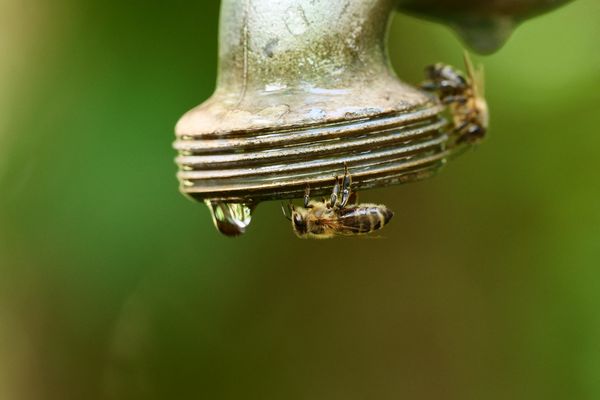 Les restrictions d'eau sont importantes dans de nombreuses communes de la région face à la chute des débits de certaines rivières.