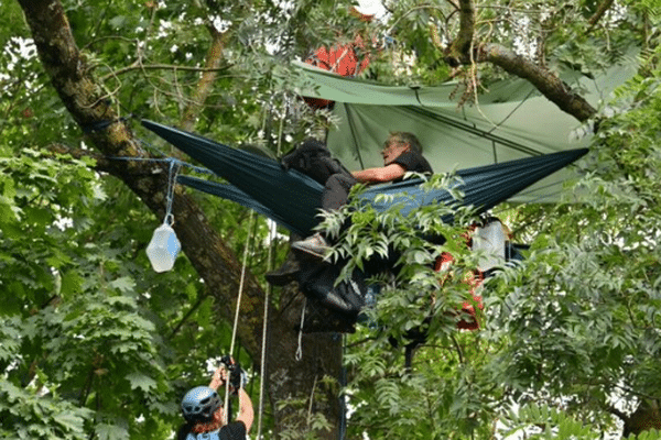 Des "écureuils" restent installés dans les arbres malgré le rejet de leur requête par le tribunal administratif de Toulouse.