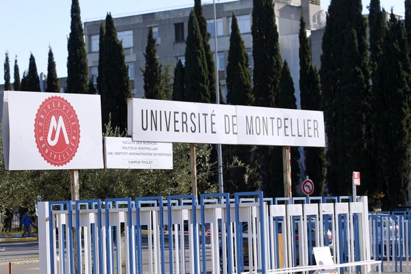 Photo d'illustration de l'Université de Montpellier.