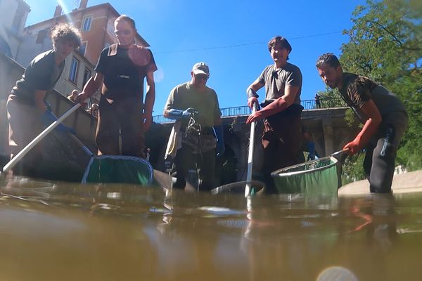 La pêche de sauvetage se déroulait à hauteur du pont d'Oullins