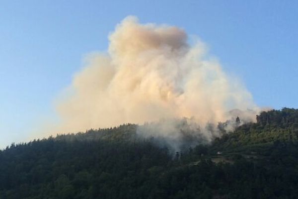 Feu de forêt en Ardèche. 