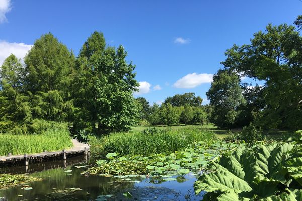 Le parc du Grand Blottereau à Nantes.