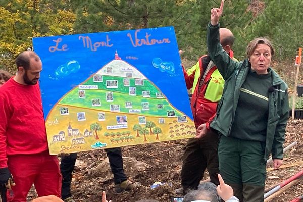 Vérane Brechu, de l'office national des forêts explique l'écosystème du Mont-Ventoux à des élèves de l'école maternelle de Bédoin.