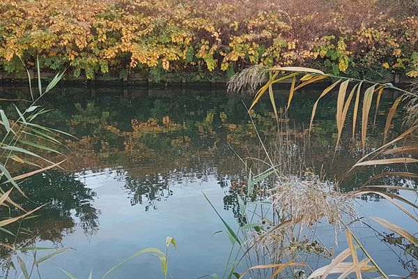 Au bord du canal