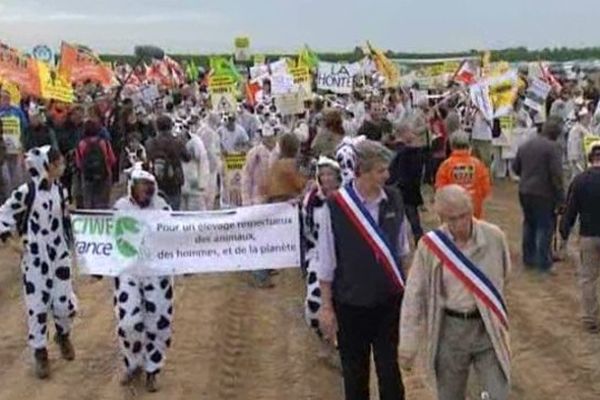 Les opposants à la ferme des 1000 vaches