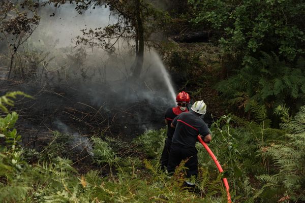 Les sapeurs-pompiers du Gard et de l'Hérault partis en renfort pour lutter contre les incendies en Gironde.