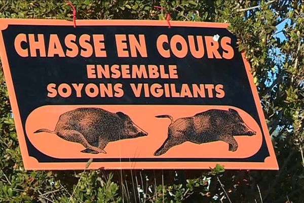 Hautes-Alpes : les chasseurs se mobilisent contre la prolifération des sangliers