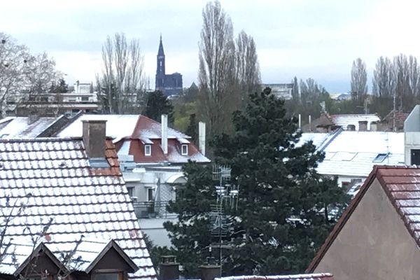 La pellicule de neige est fine mais des flocons sont bien tombés en plaine d'Alsace au mois d'avril. 