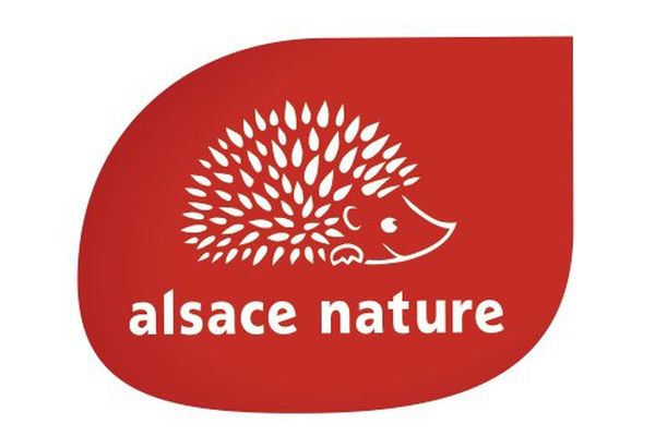 Le symbole d'Alsace nature c'est le hérisson. Animal à priori inoffensif sauf quand il se met en boule...
