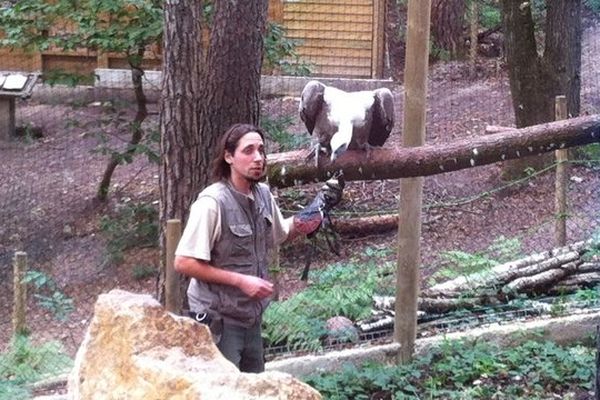 Le fauconnier présente les animaux au moment de leur repas, tous les jours à 15h.