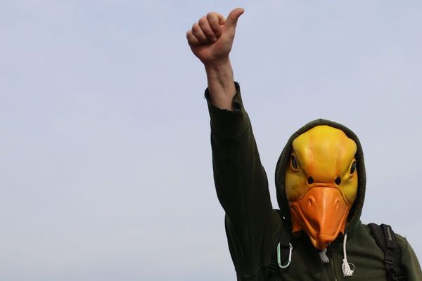 Un manifestant anti-aéroport déguisé en canard