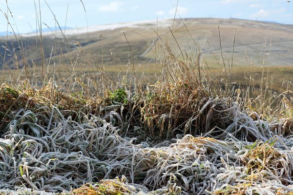 Le retour de quelques flocons de neige sur les hauteurs des Vosges ? 