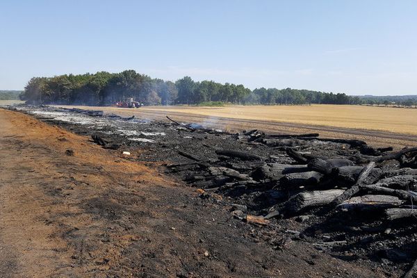 1000 tonnes de bois parties en fumée le long de la nationale 67 à Leyrat