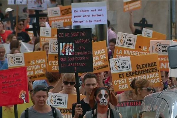 Une marche organisée par l'Association "One Voice" avait réuni 200 personnes dans les rue d'Auxerre le 9 juin 2018 pour la fermeture de l'élevage de chiens de Mézilles