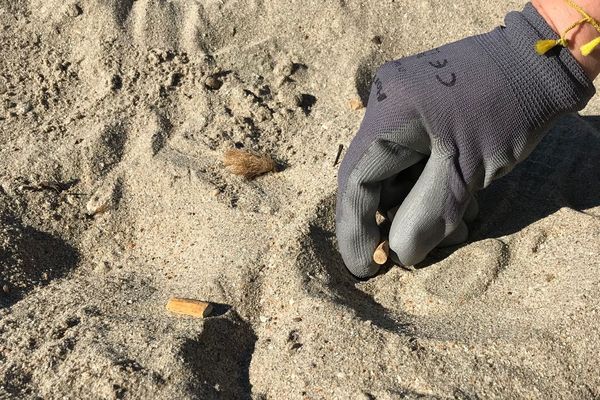 Une nouvelle opération de nettoyage de plage a eu lieu ce samedi à Palavas-les-flots. Objectif: ramasser le maximum de mégots de cigarettes et de batons de sucettes et de sensibiliser la population à l'environnement.