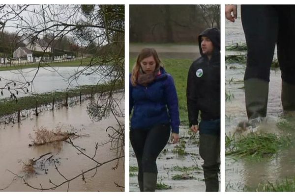 C'est l'une des conséquences des dernières tempêtes qui ont traversées la région, à la suite de précipitations importantes, le Loing et l'Ouanne à l'Est du Loiret sont en crue et placé en vigilance jaune. Mais pas d’inquiétude disent les professionnels. 