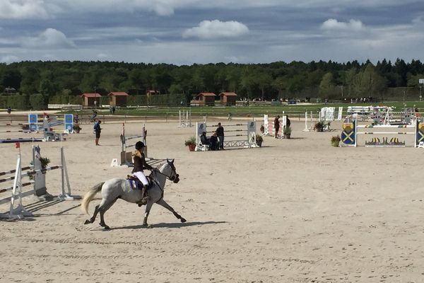 Le championnat de France de poneys à Lamotte-Beuvron, dans le Loir-et-Cher.