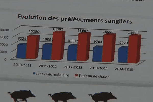 Evolution des prélèvements de sangliers en Ardèche