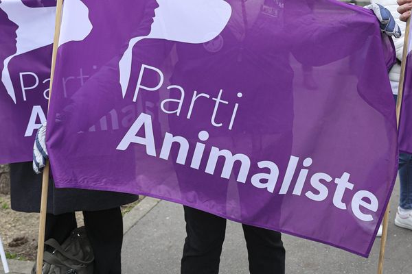 Le Parti animaliste existe depuis 2016 en France
