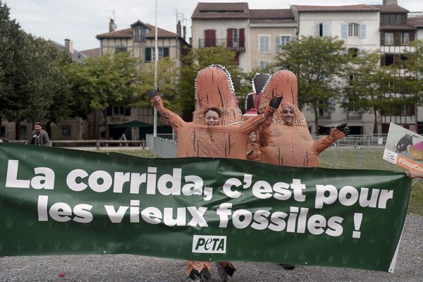 Les militants de Peta France déguisés en dinosaures à Bayonne pour protester contre les corridas. 