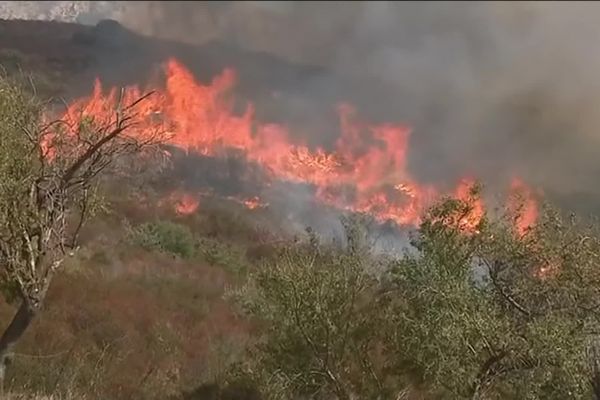 Véritables fléaux, les incendies sont amplifiés par le changement climatique.