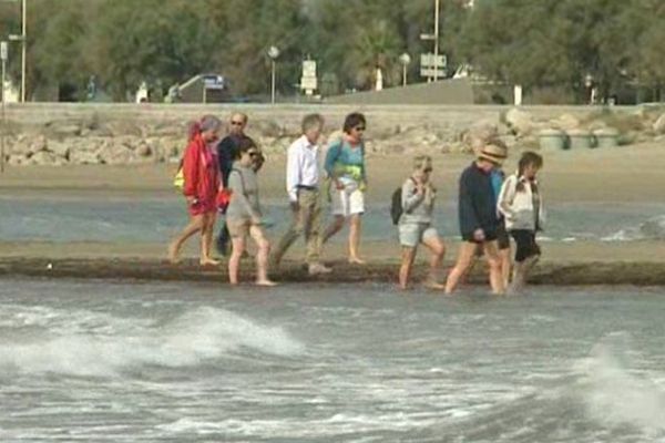 Les curistes en balade sur la plage de la Grande Motte, ils n'ont rien mangé depuis 3 jours.