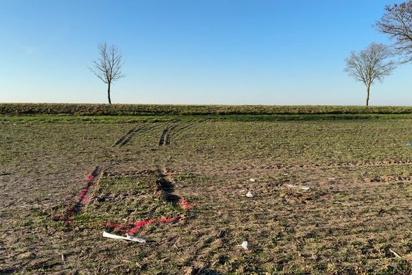 Le véhicule s'est immobilisé dans un champ après avoir percuté un arbre, sur la commune de Savières, dans l'Aube.