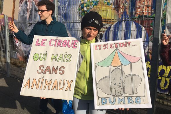 Maddy est une sympathisante du collectif Stop animaux cirque. 