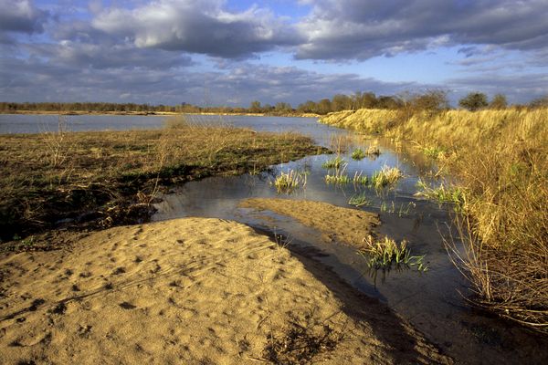 La réserve naturelle du Val d'Allier a été créée par décret en 1994, par Édouard Balladur Premier ministre de l'époque et Michel Barnier, ministre de l'Environnement.