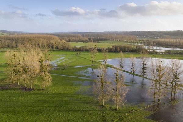 La désarroi des agriculteurs suite à l'annonce des modalités du versement des aides suites aux inondations de novembre 2023.