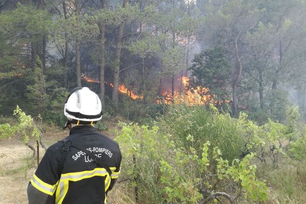 Pendant l'été 2022, 72 000 hectares (dont 60 000 hectares de forêts) sont partis en fumée en France.