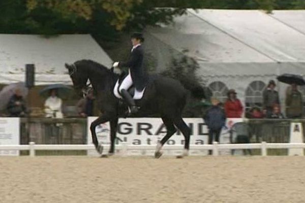 Compiègne, capitale européenne du dressage