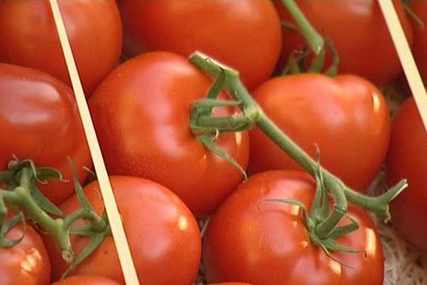 Le congrès des producteurs de légumes de France à Perpignan - 19 novembre 2015